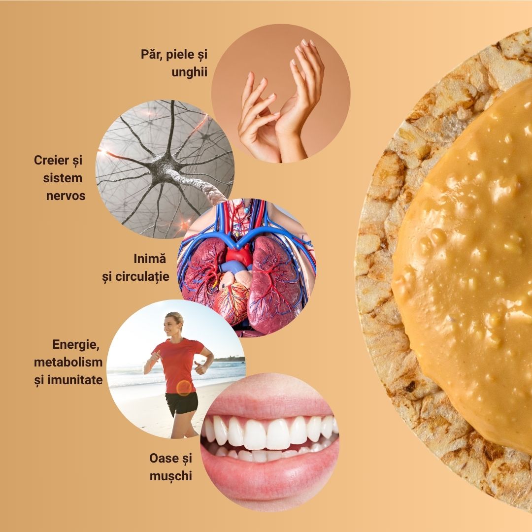 Epic Bites Crunchy Peanut Cream 300g