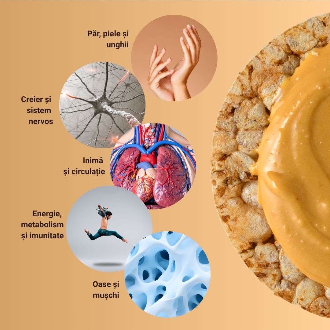 Epic Bites Smooth Peanut Cream 300g