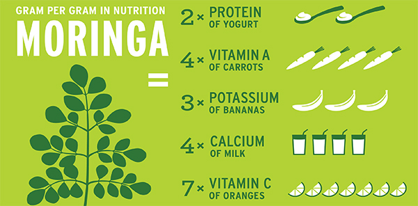 Beneficii pudra moringa