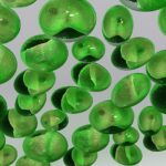 Chlorella, o infuzie de clorofilă