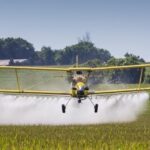 Banner alimente cu pesticide