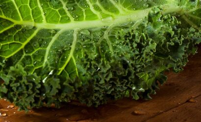 Kale – minunea verde bogată în antioxidanți 16 frunze de kale